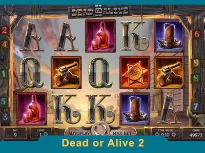 Игровой аппарат Dead Or Alive 2 — NetEnt